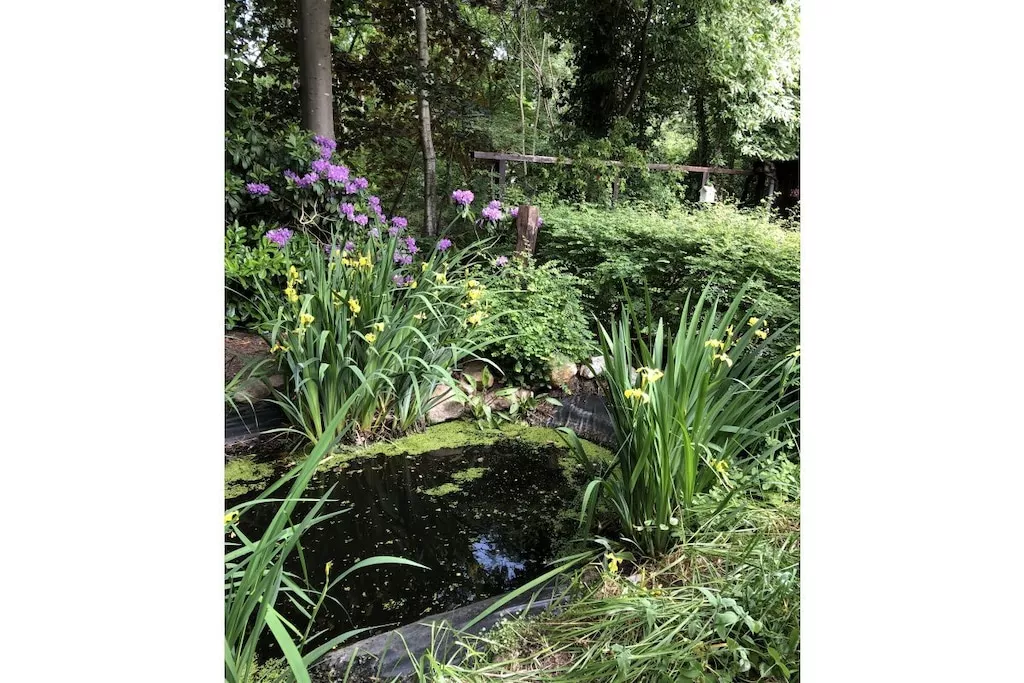 441274-Nicht zugeordnet