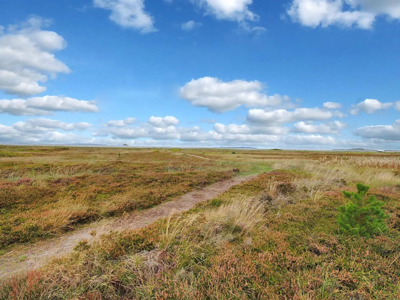 "Arisa" - 100m to the fjord-Outside