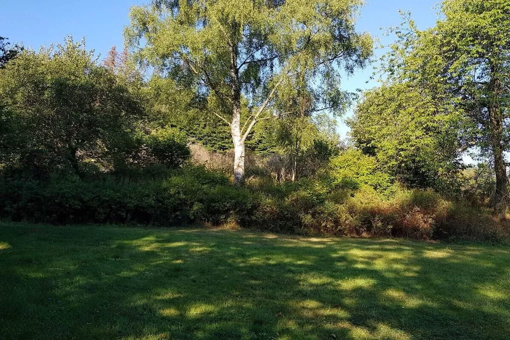 33642-Nicht zugeordnet