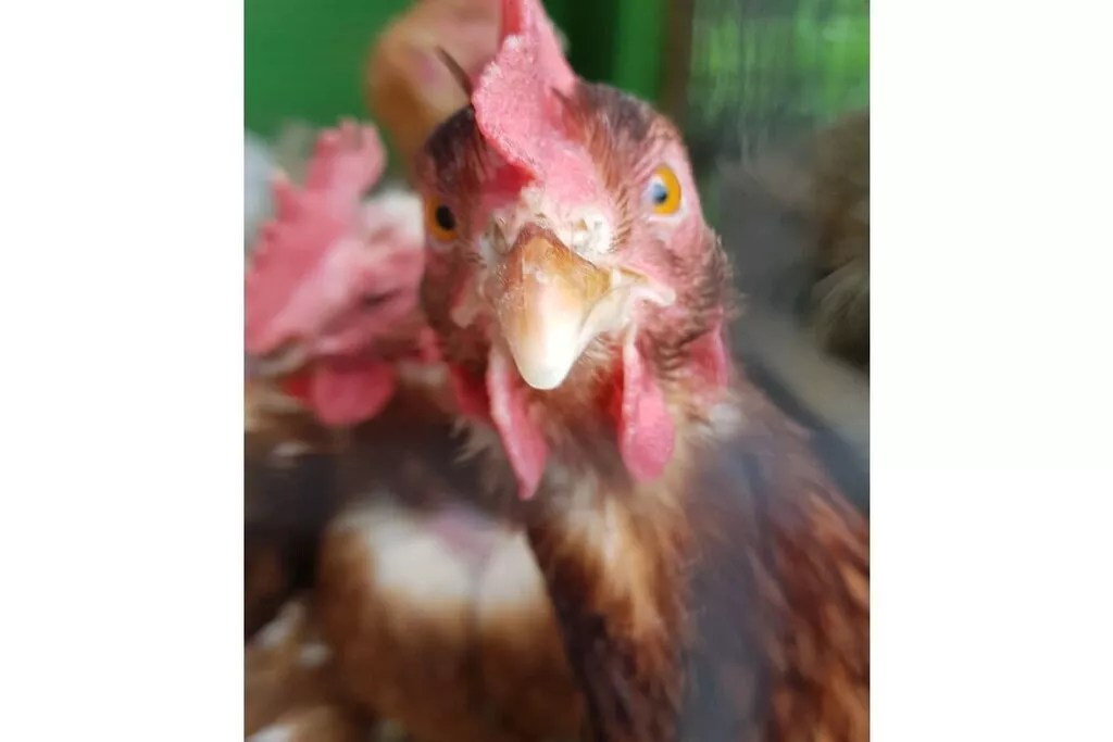 137960-Nicht zugeordnet