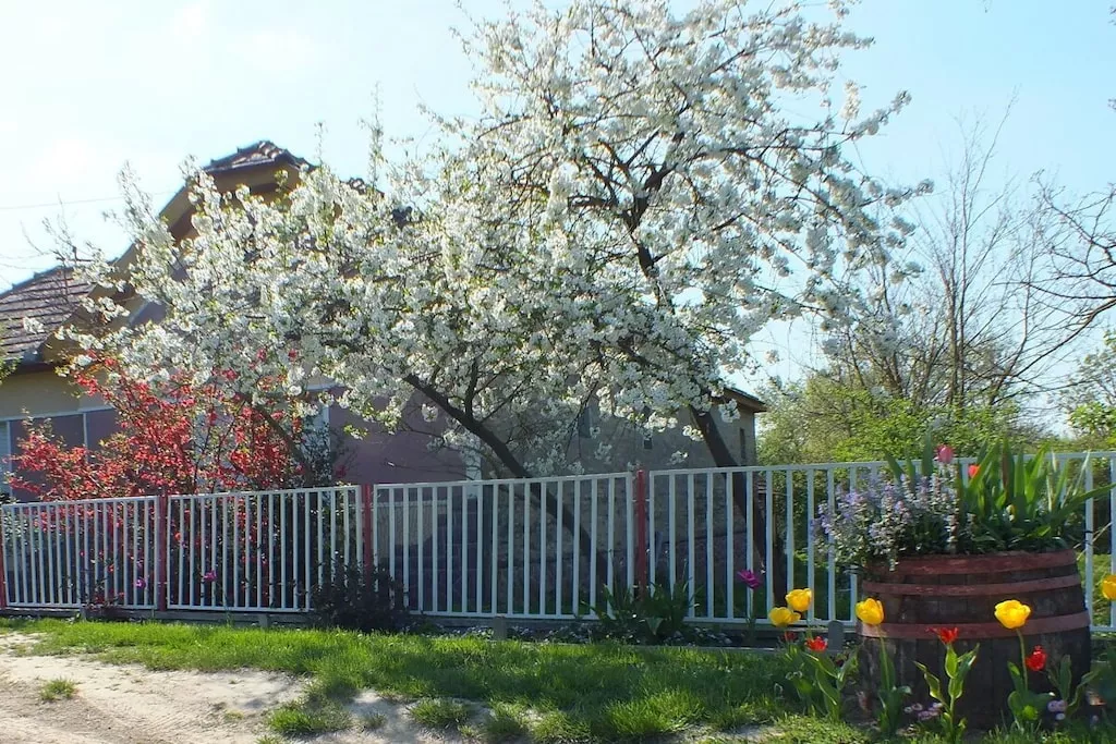 82976-Nicht zugeordnet