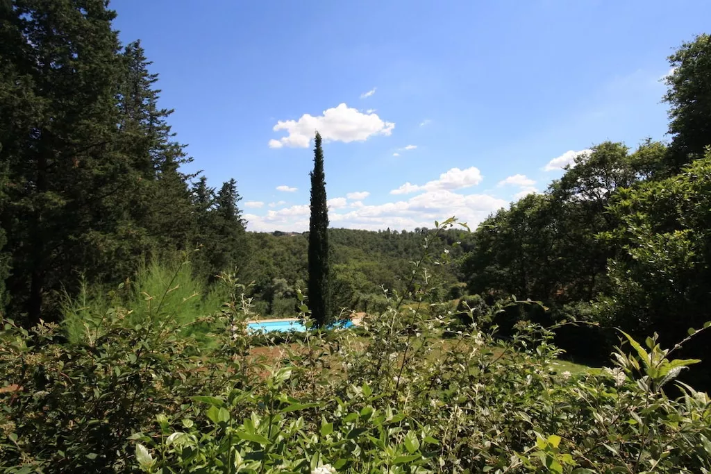 256322-Nicht zugeordnet