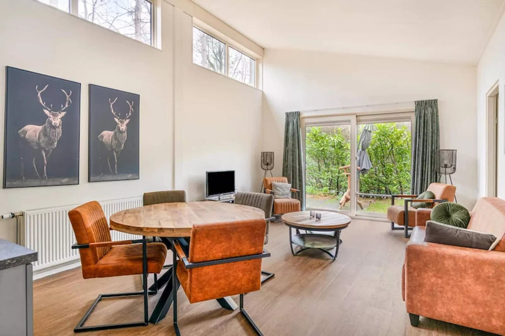 Vakantiepark de Berkenhorst 17-Living room