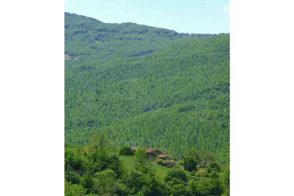 29689-Nicht zugeordnet