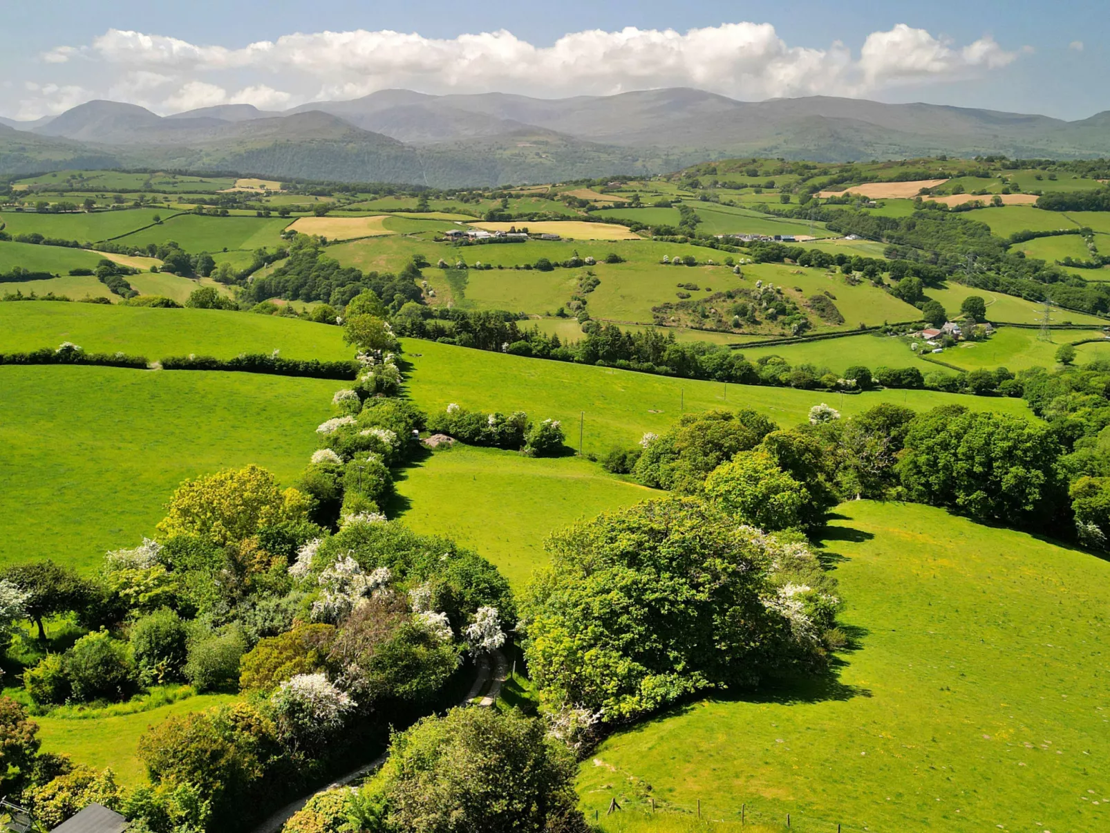 Buzzards View-Dehors