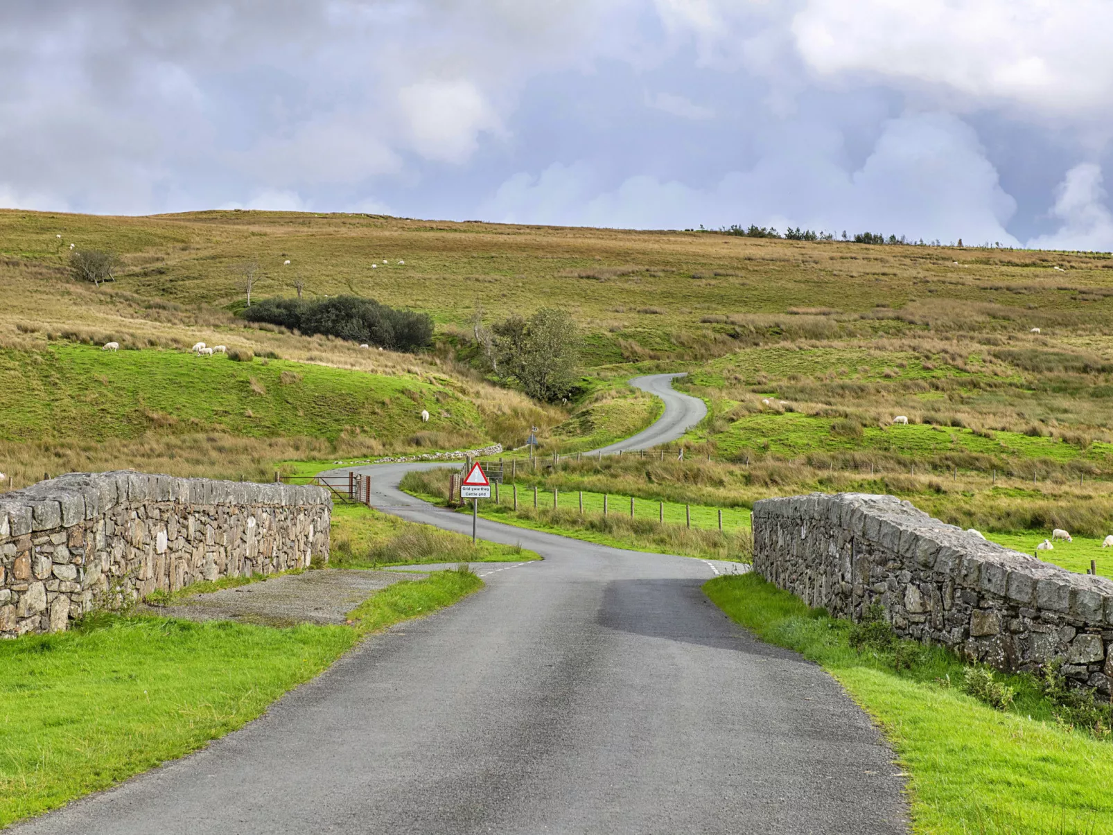 Mountain View-Dehors