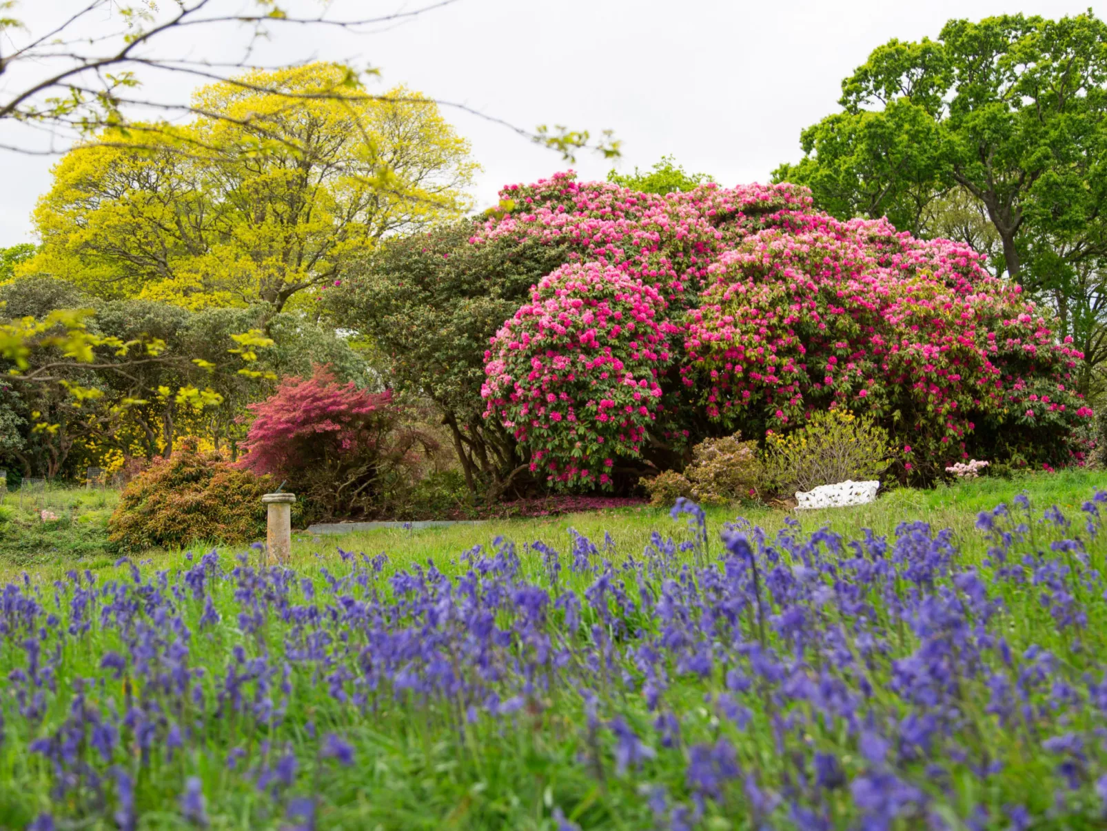 Historic Castle on River Tamar-Draußen
