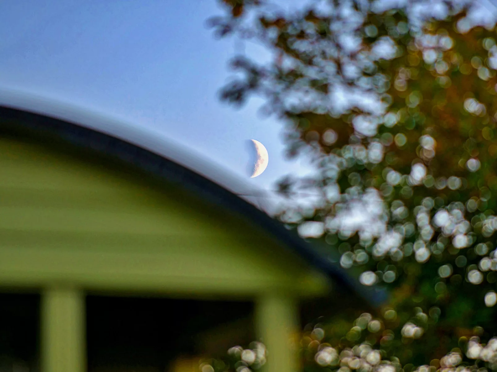'Angharad' Poachers Hut-Outside
