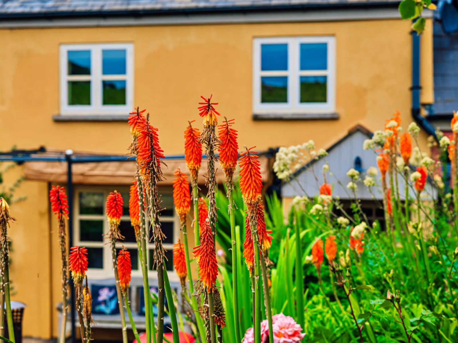 Beili Glas Cottage-Dehors