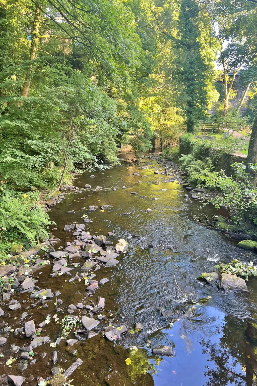 Suzy's Cottage-Inside