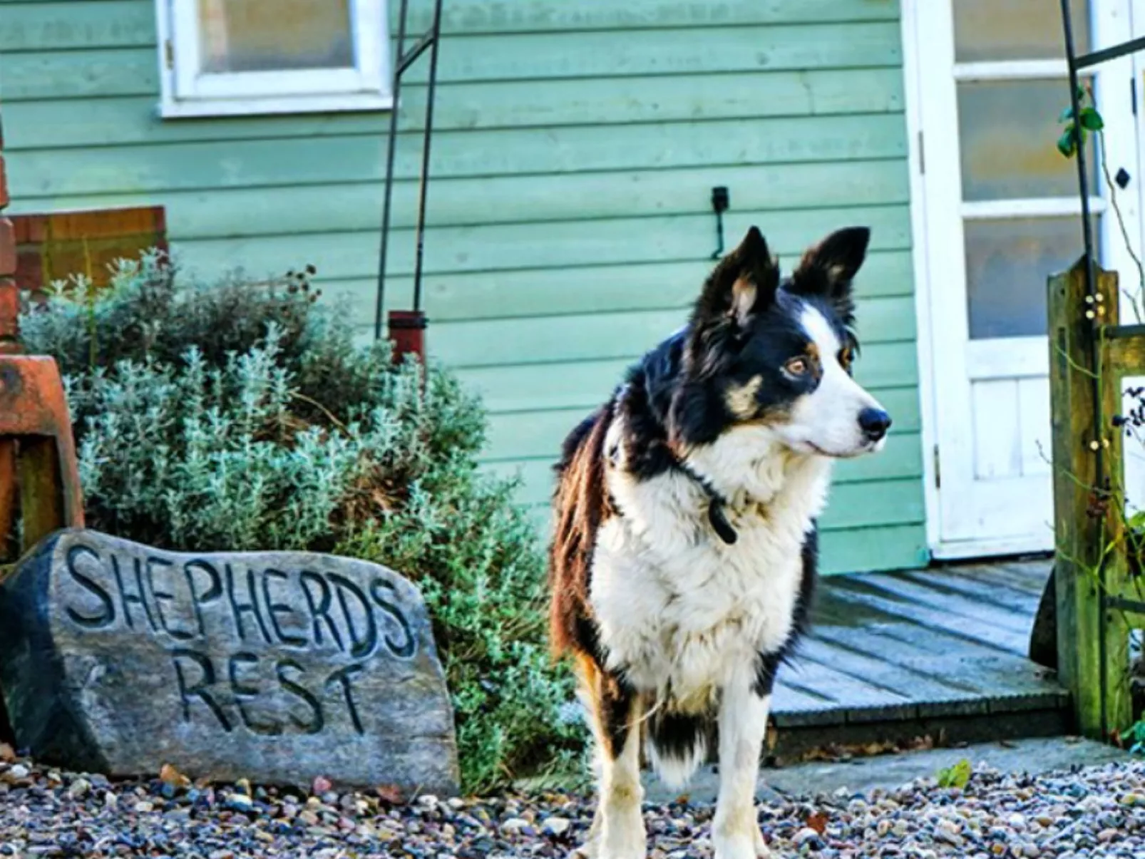 Shepherd's Rest at Morrells Wood-Dehors