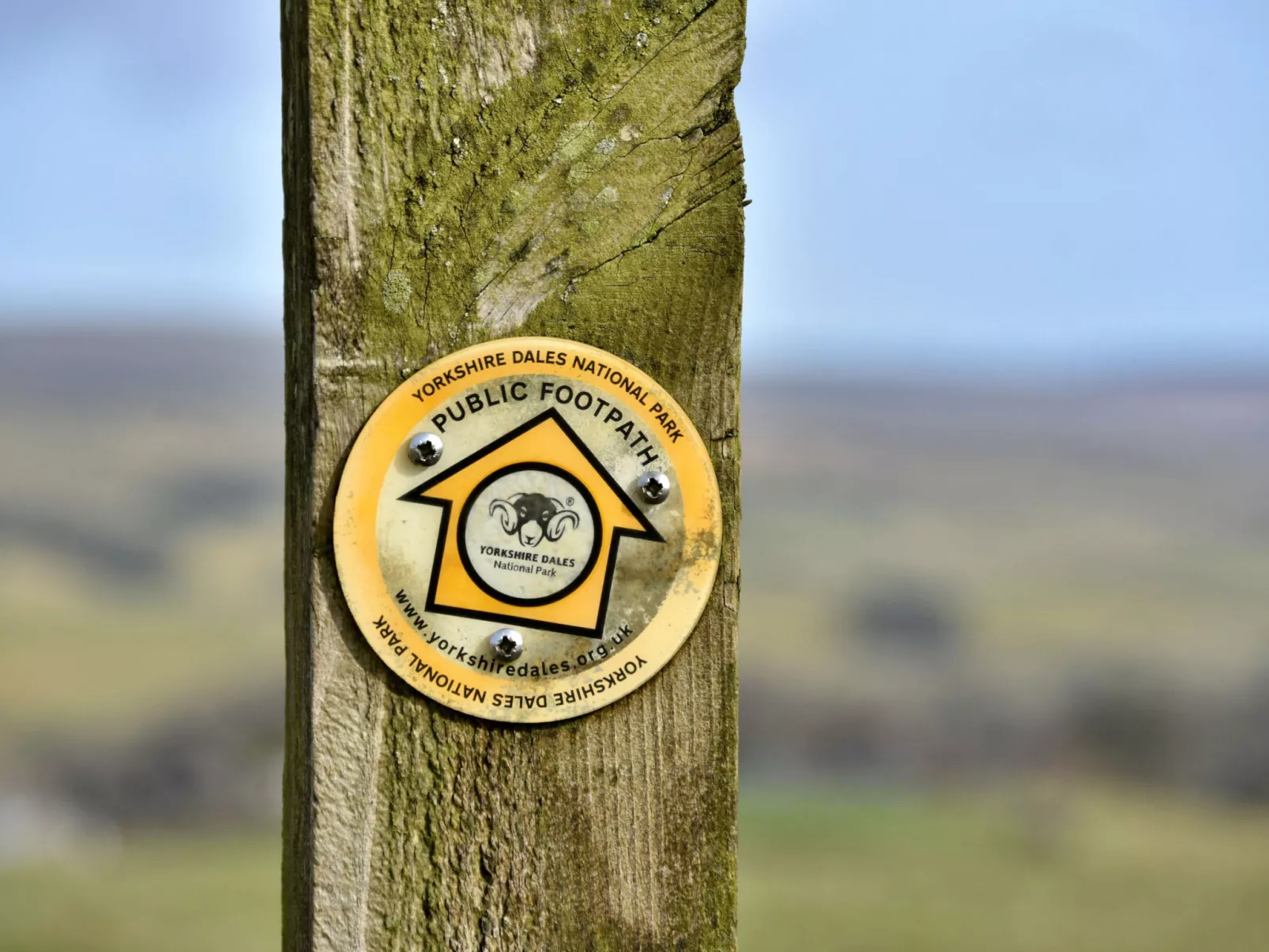 Dales Barn Top-Inside