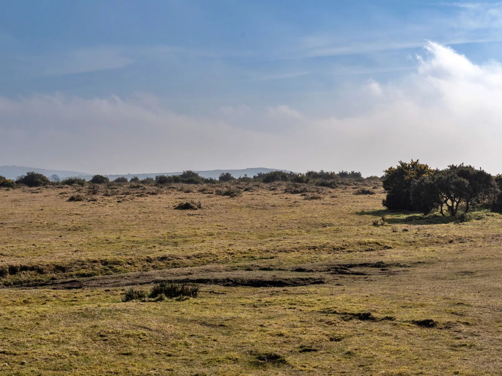 Stable Barn Apartment at Bodmin Moor-Dedans