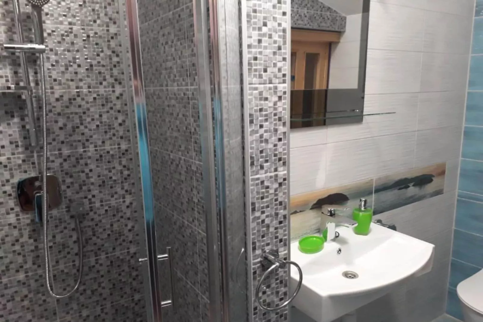 Apartments Ribarević  - One Bedroom Apartment with Balcony-Bathroom