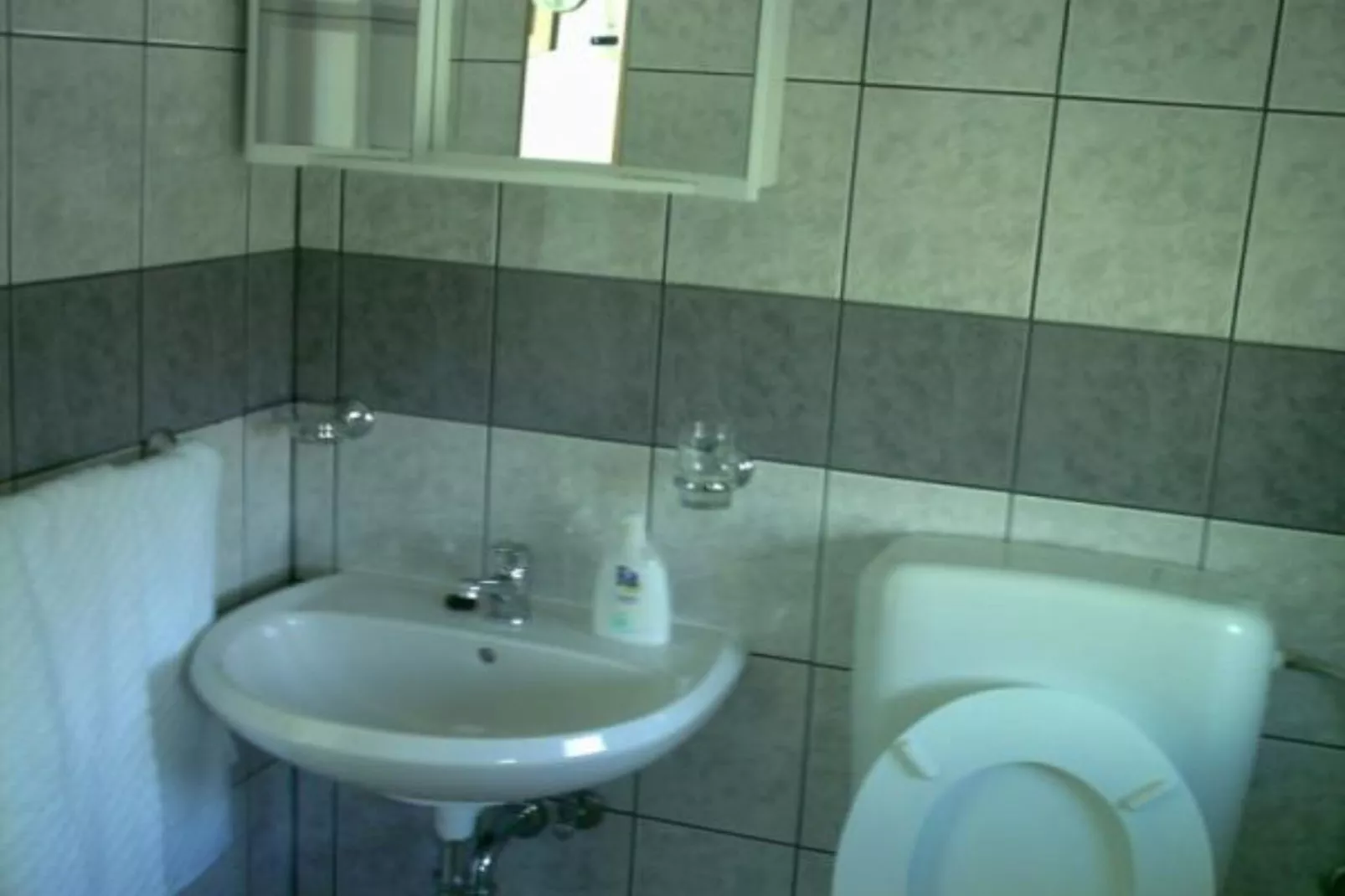 Apartments Degi -  Studio Apartment (left)