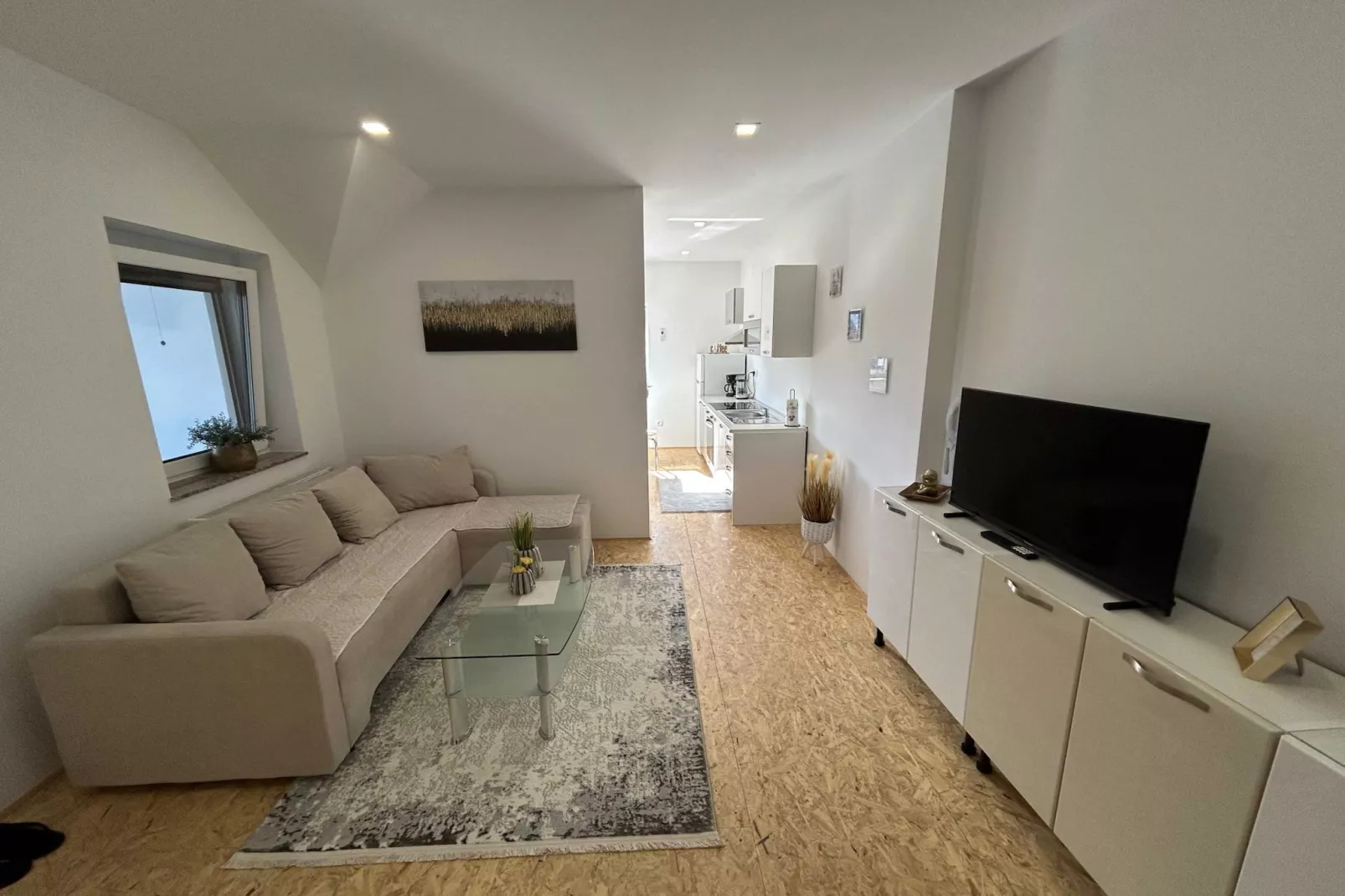 City Modern and Vibrant Apartments Ljubljana - Standard One Bedroom Apartment (owner A3)-Wohnzimmer