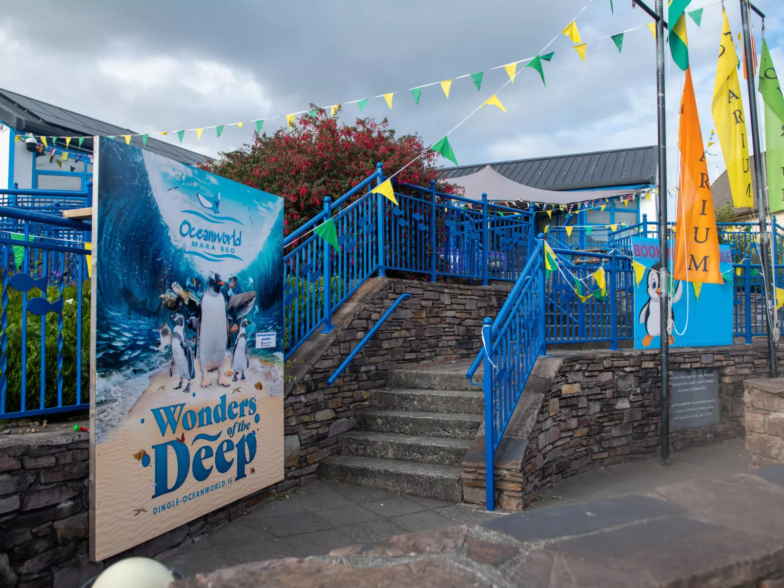 Dingle HC (S7)(TR4)  No 13-Draußen