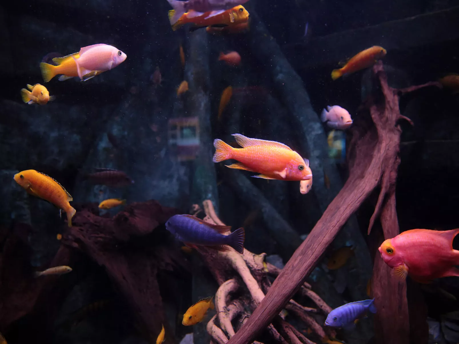 Dingle Bay View (TR2)-Draußen