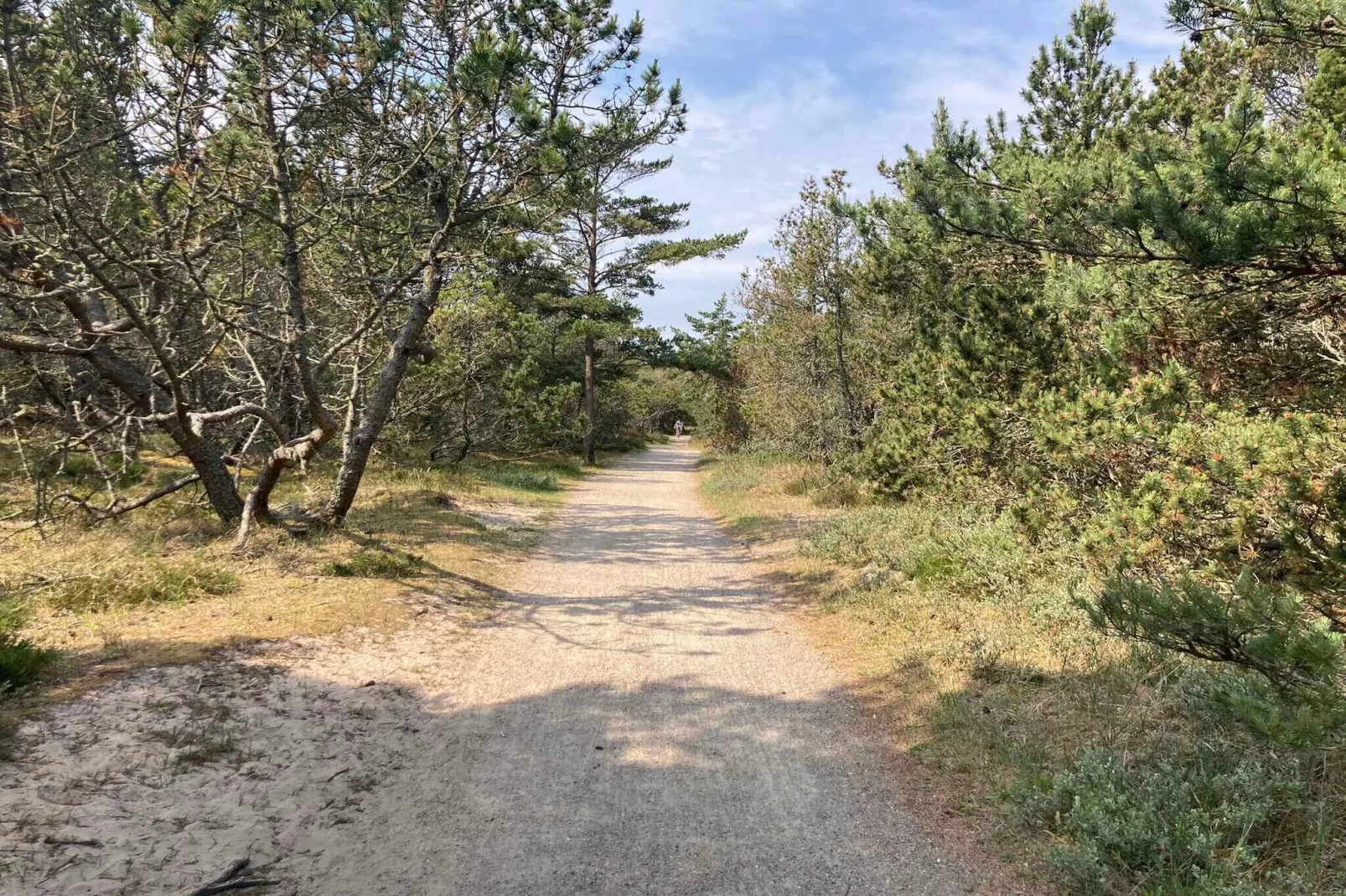 5 etoiles maison de vacances a Skagen-Extérieur