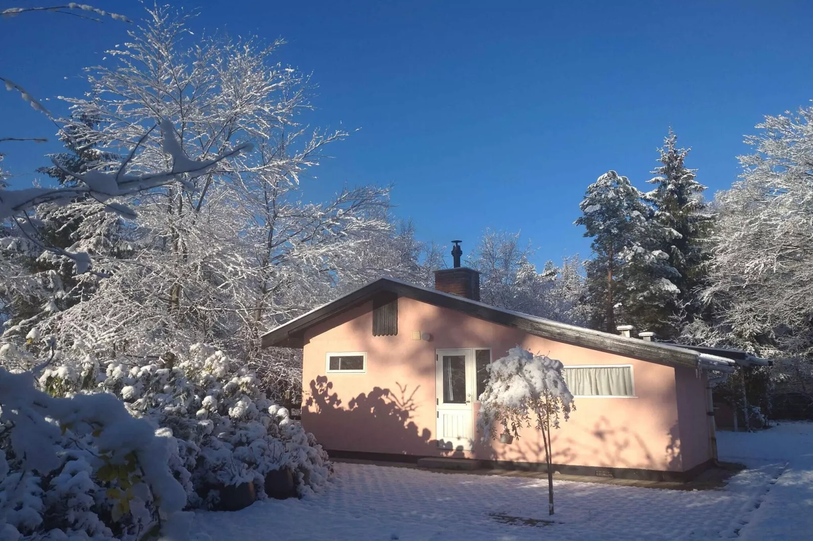 5 Sterne Ferienhaus in Frederiksværk-Im Freien