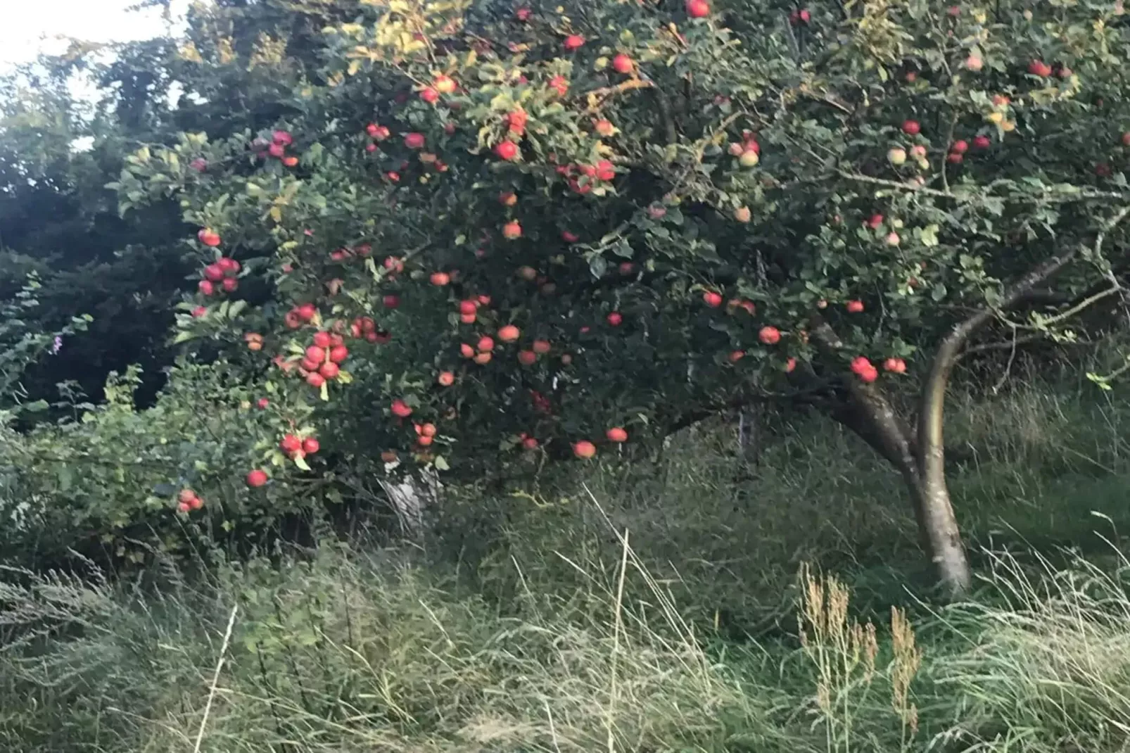 5 star holiday home in Ebeltoft-Untagged