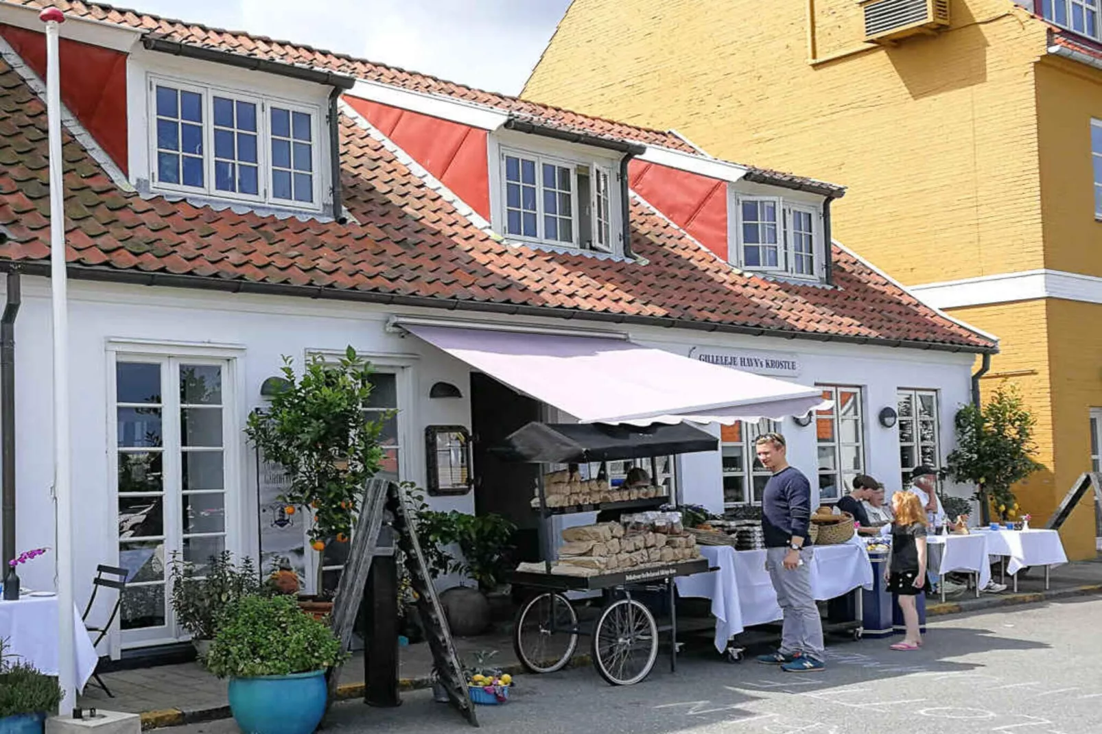5 Sterne Ferienhaus in Vejby-Im Freien