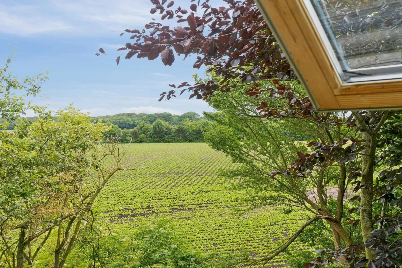 5 Sterne Ferienhaus in Vesterborg-Im Freien