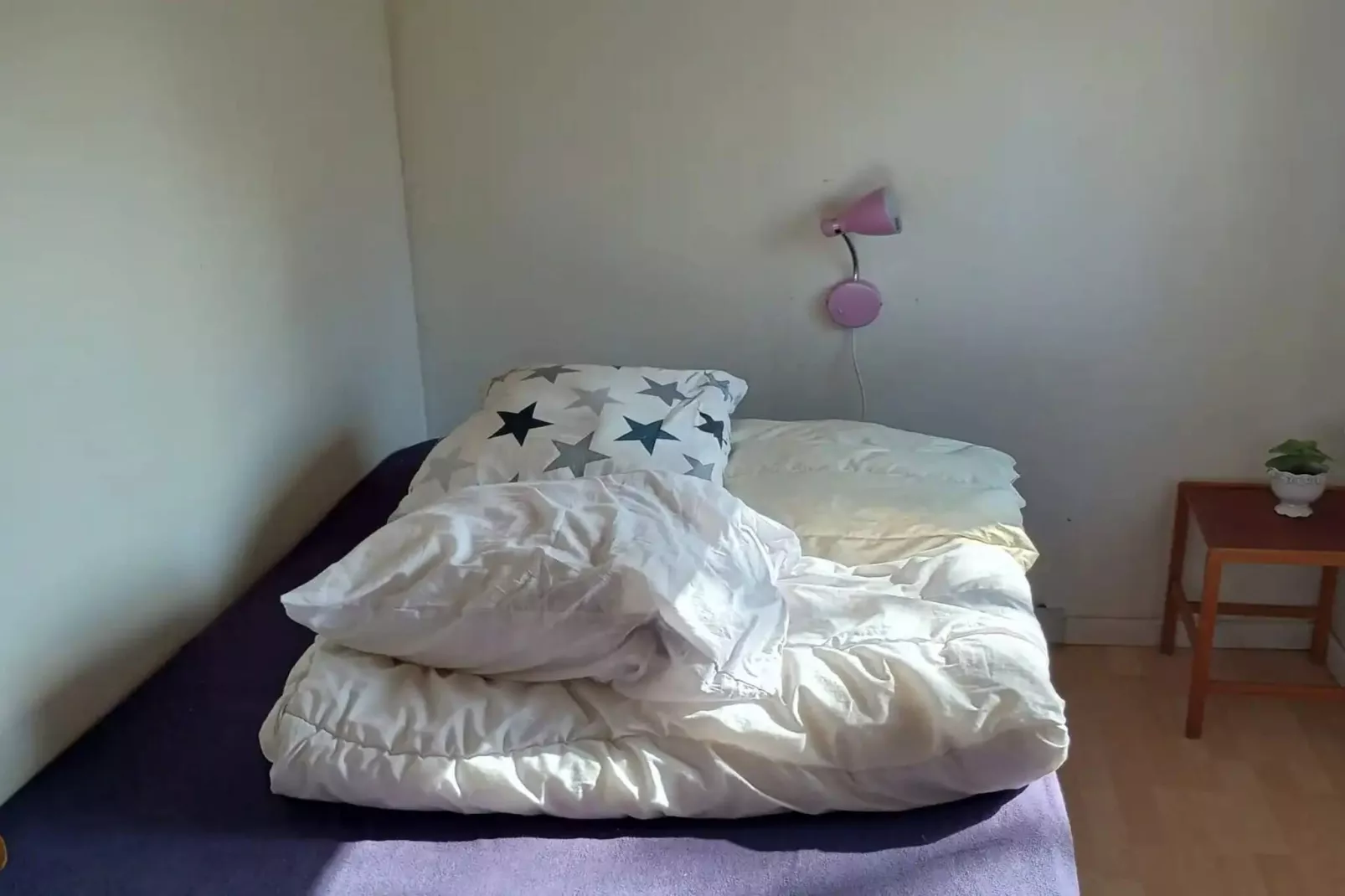 5 Sterne Ferienhaus in Odder