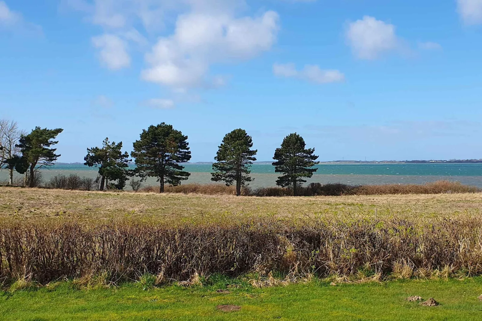 5 etoiles maison de vacances a Stubbekøbing-Extérieur