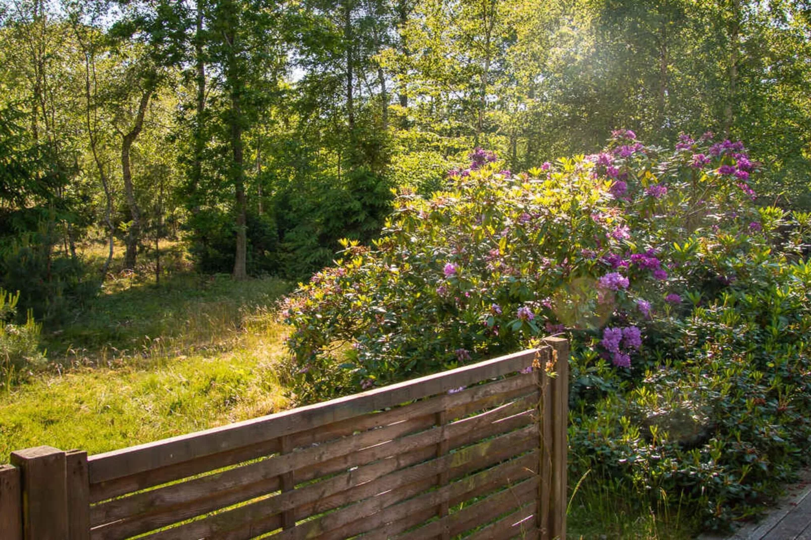 5 star holiday home in Store Fuglede-Outdoor