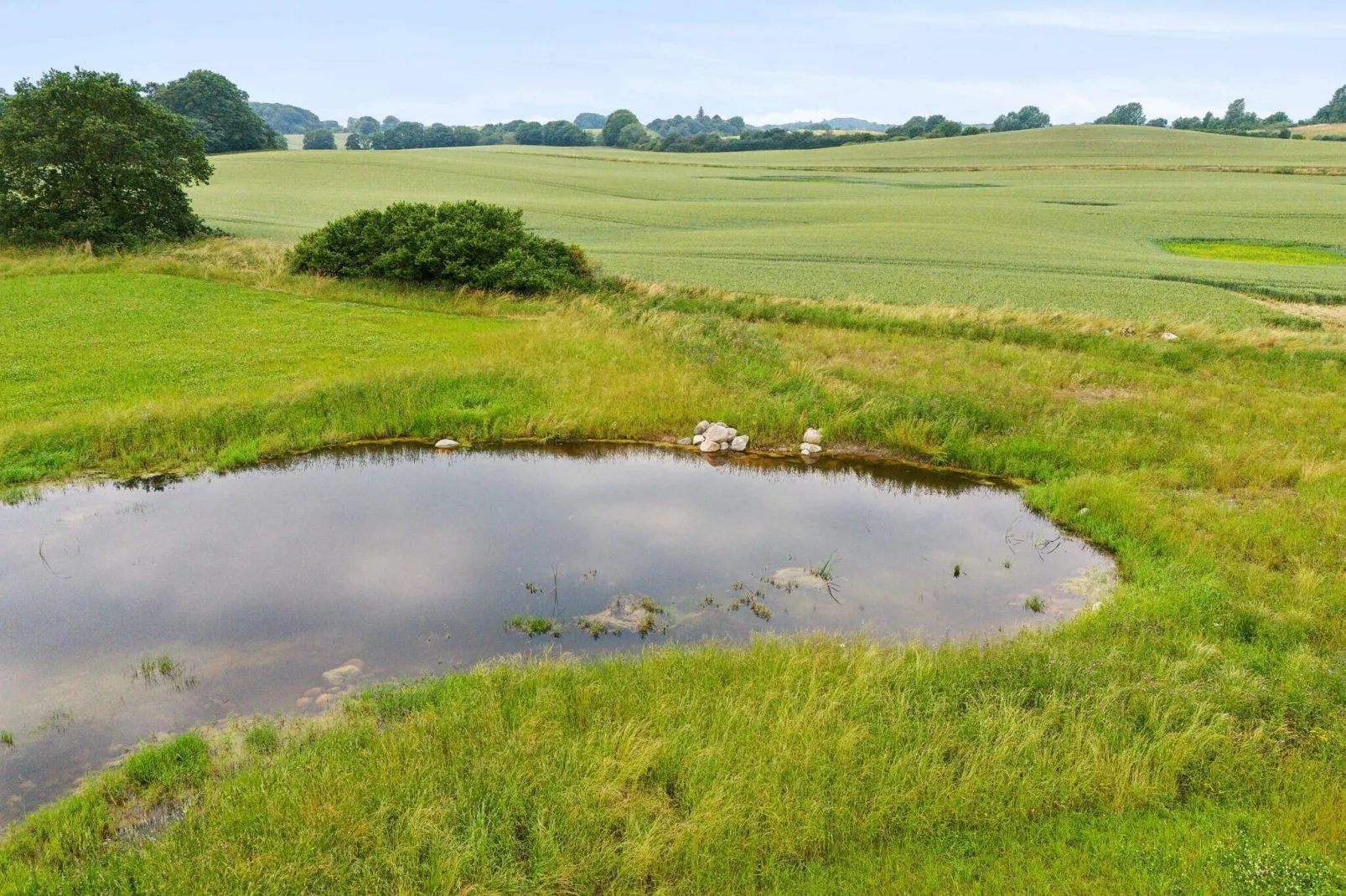 5 Sterne Ferienhaus in Svebølle-Im Freien