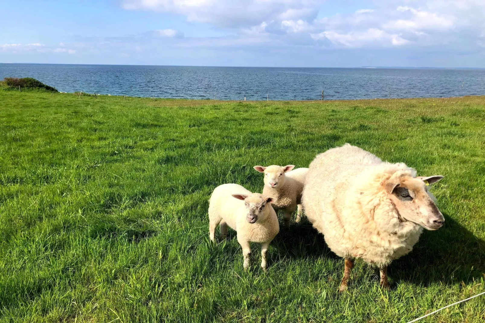 5 star holiday home in Assens-Outdoor