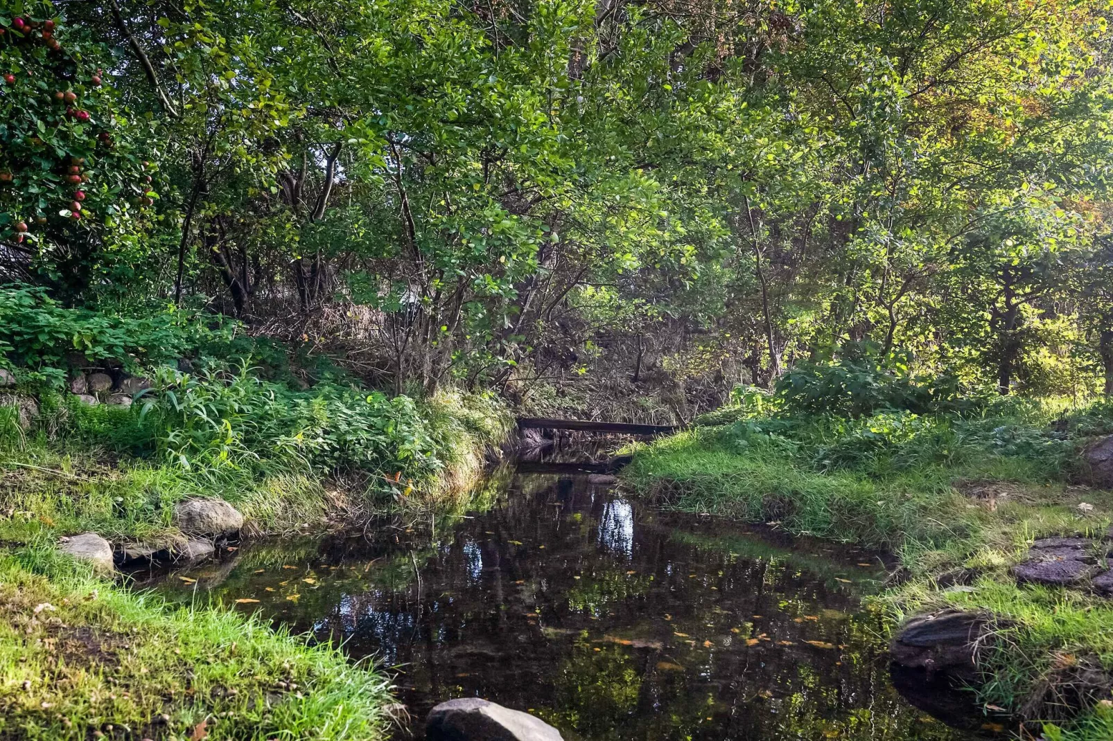 5 star holiday home in Millinge-Outdoor