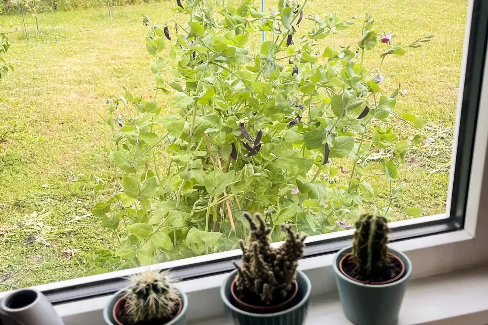 5 Sterne Ferienhaus in Slagelse-Innenbereich