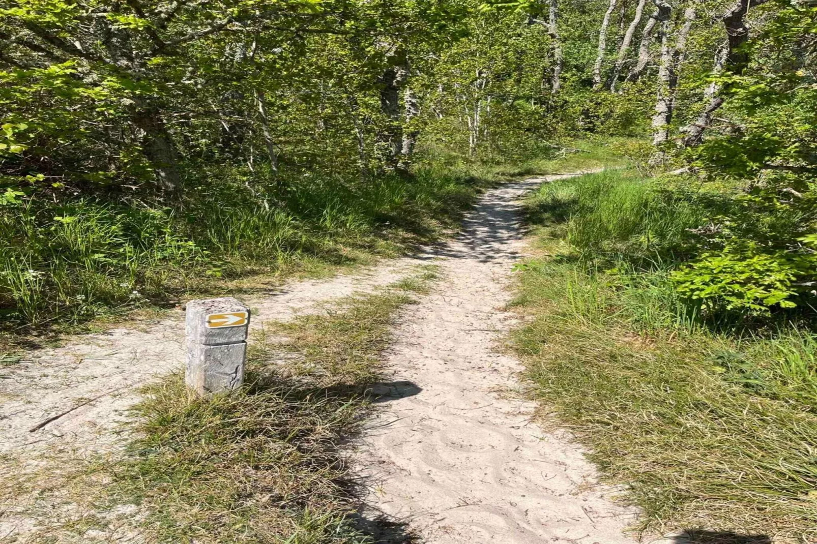 5 etoiles maison de vacances a Aakirkeby-Non tagué