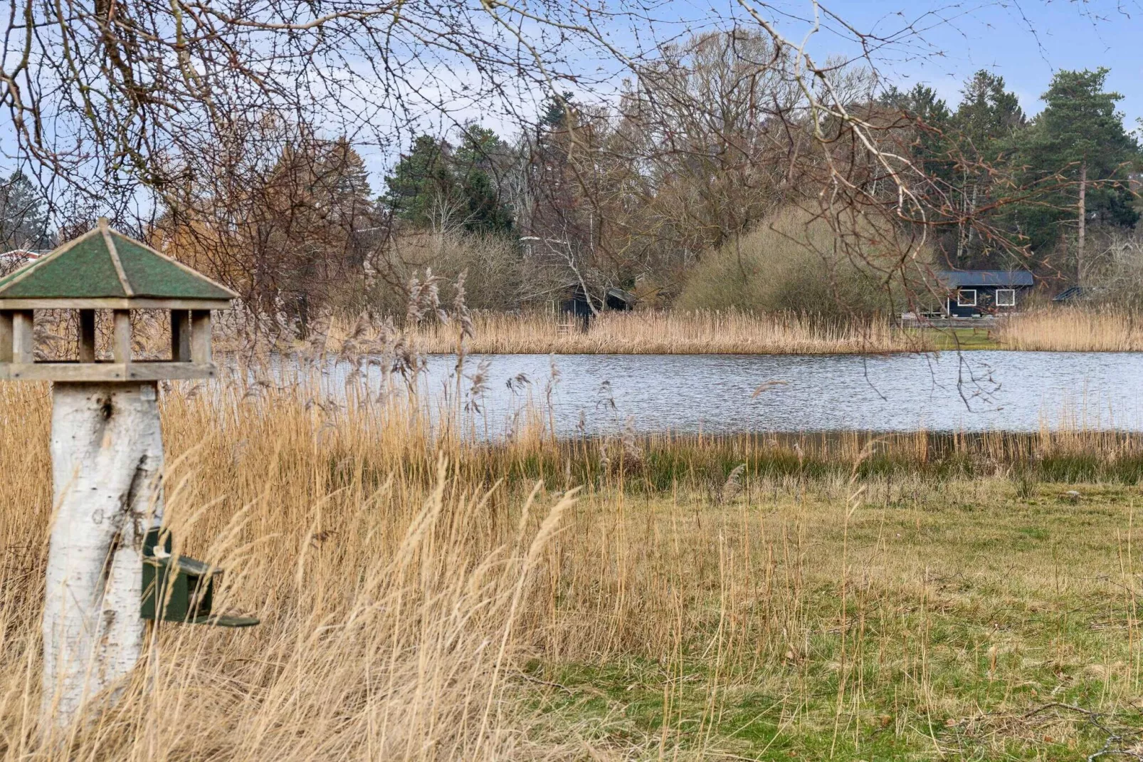 5 Sterne Ferienhaus in Jægerspris