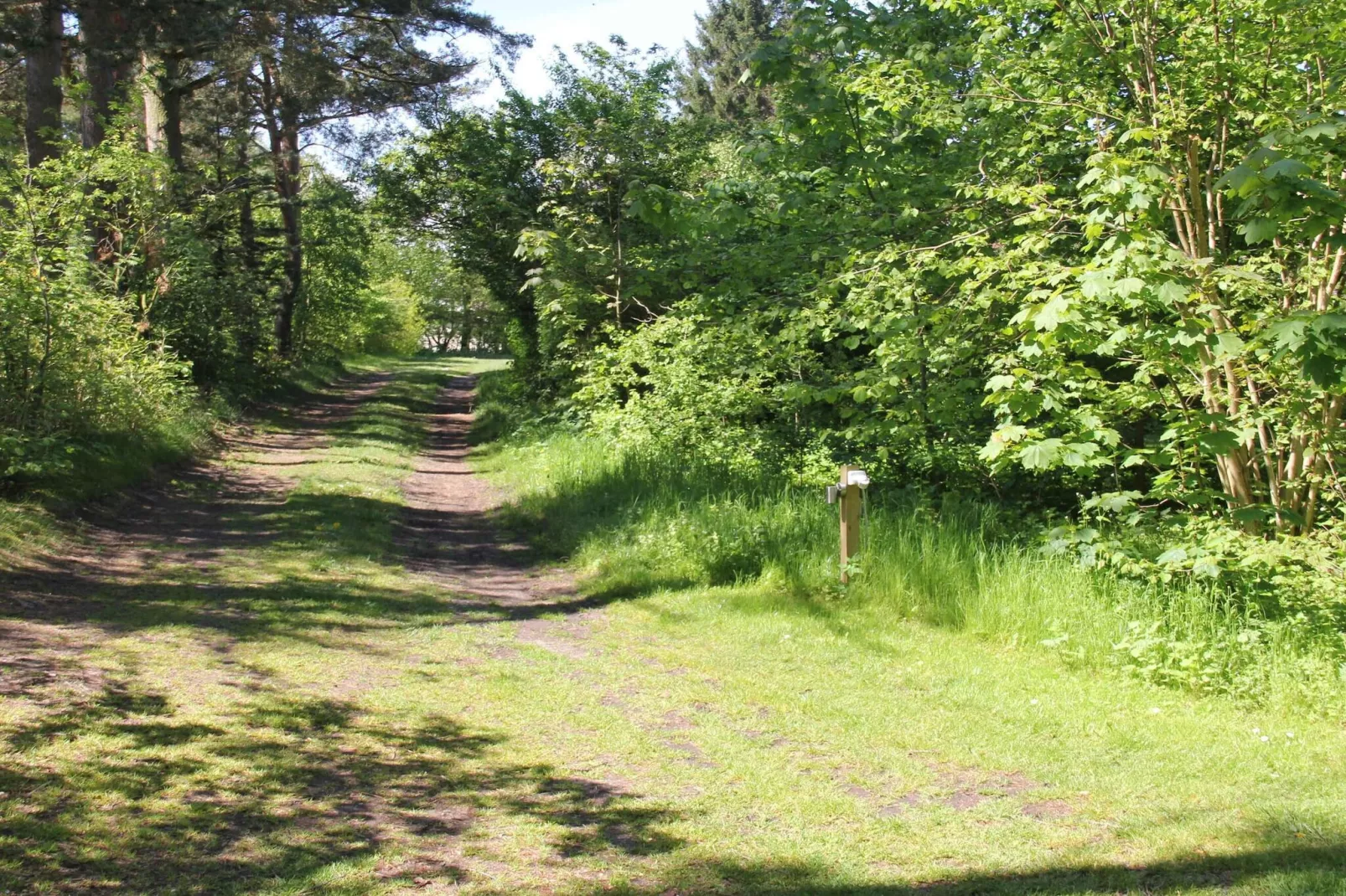 5 star holiday home in Hornbæk-Untagged