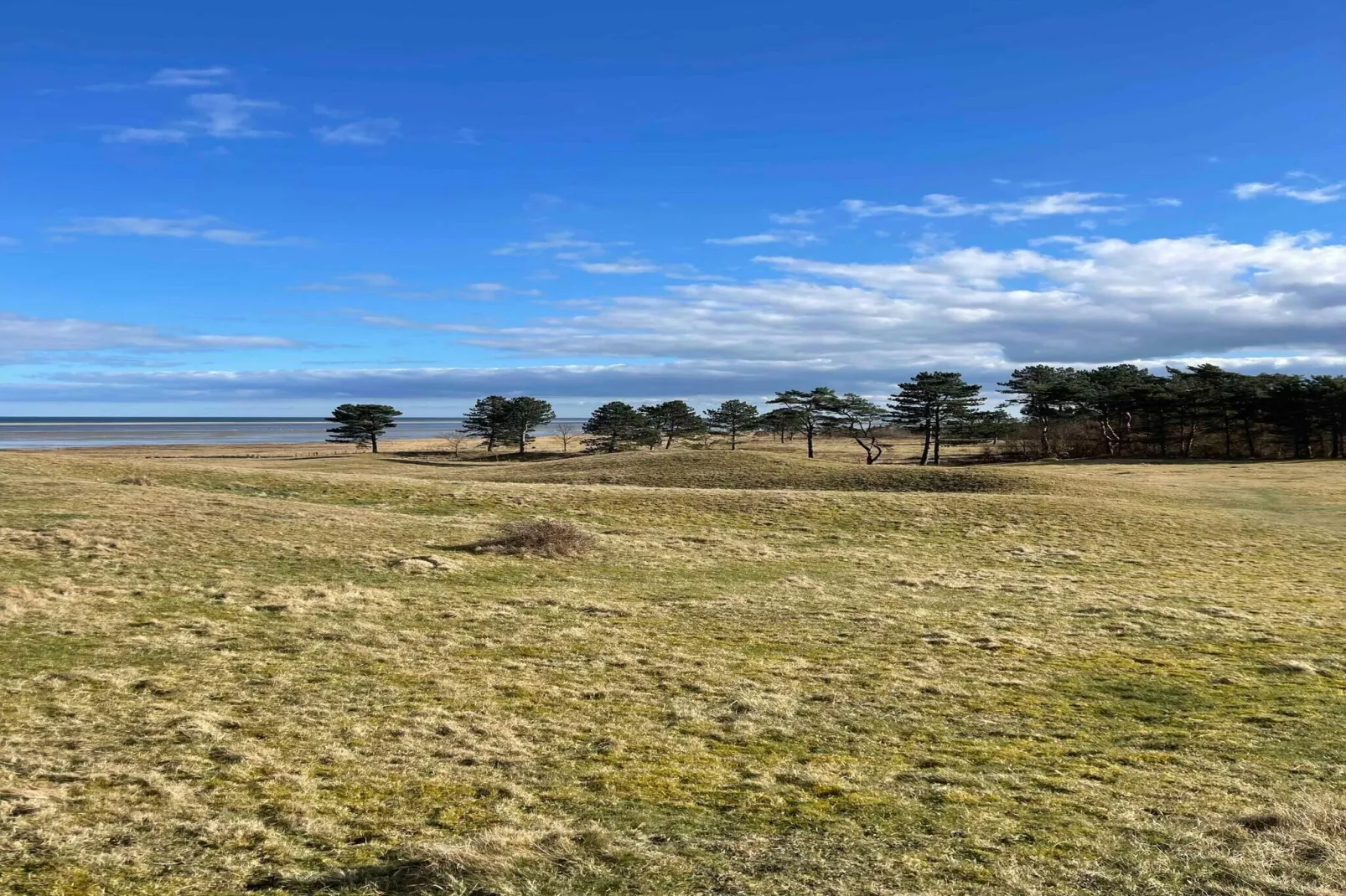 5 star holiday home in Hadsund-Outdoor