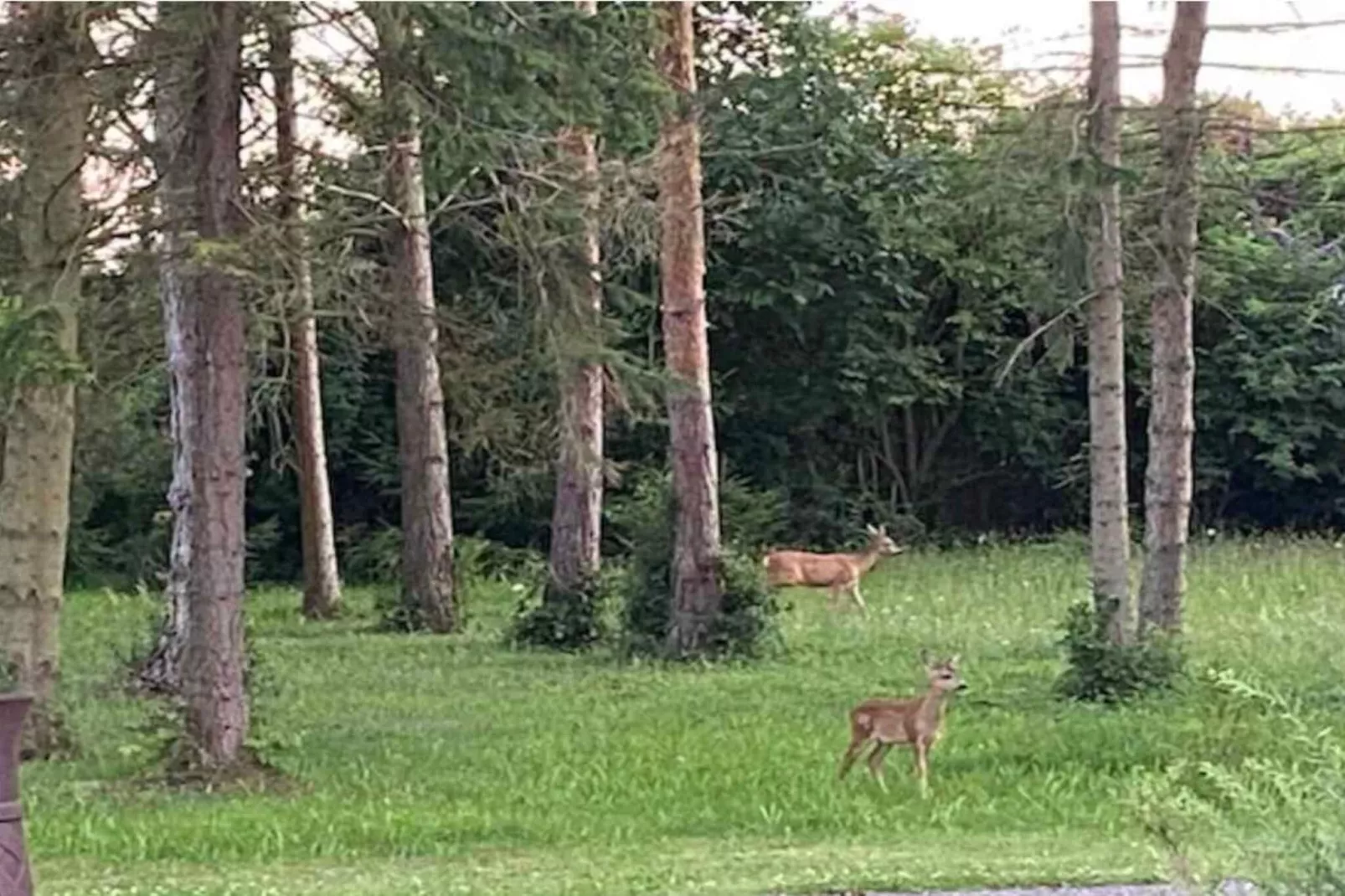 4 Sterne Ferienhaus in Nakskov-Nicht zugeordnet