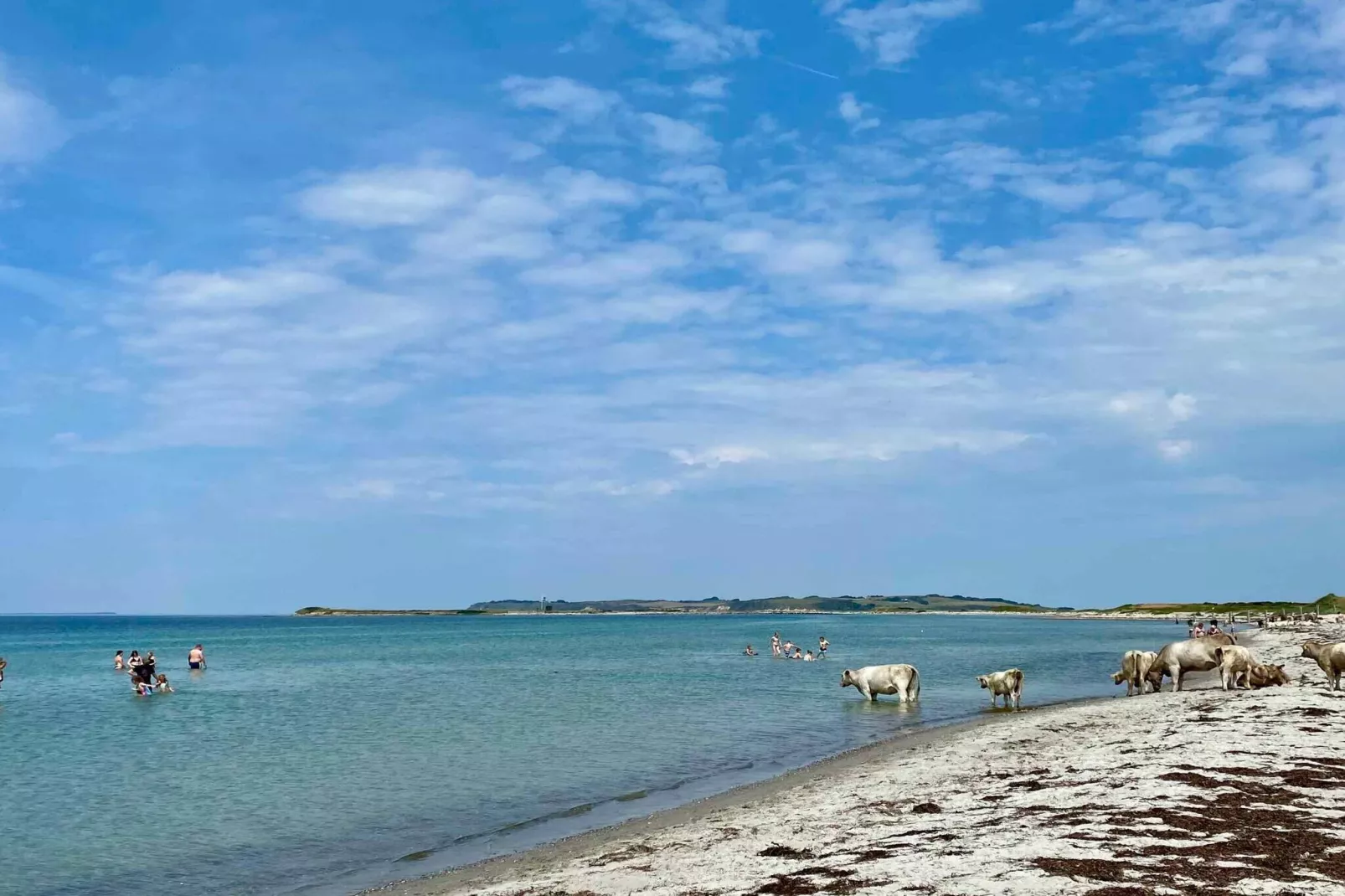 4 star holiday home in Føllenslev-Outdoor