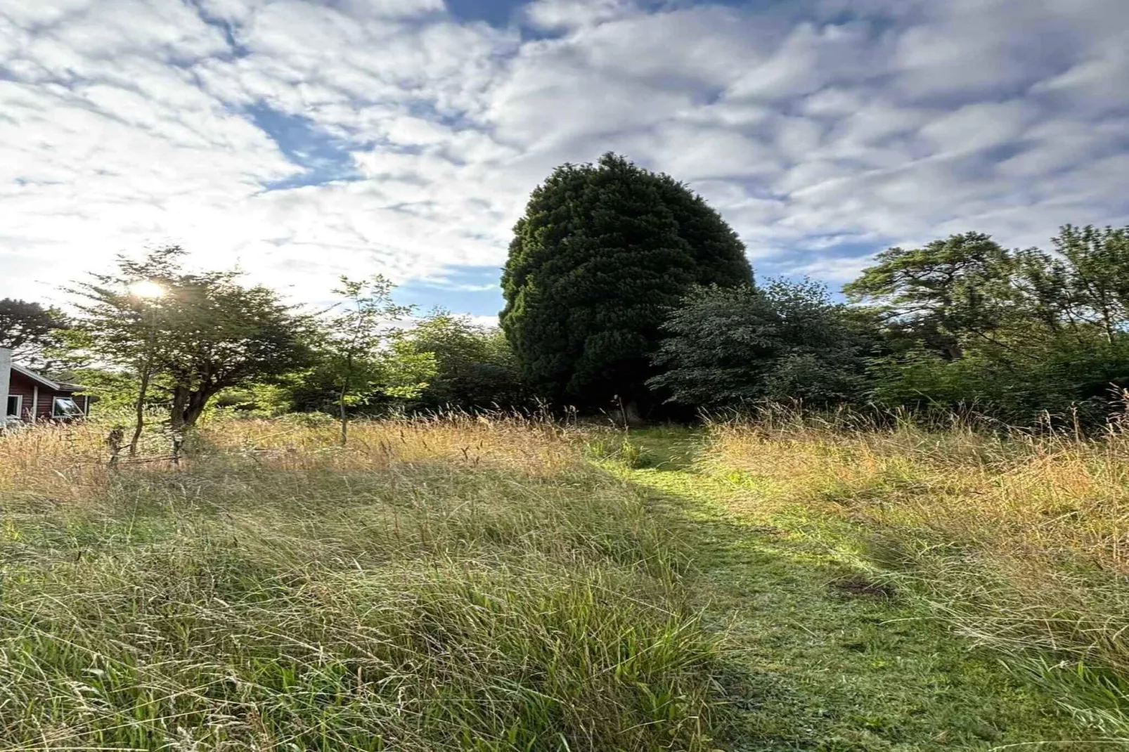4 Sterne Ferienhaus in Fårevejle-Im Freien