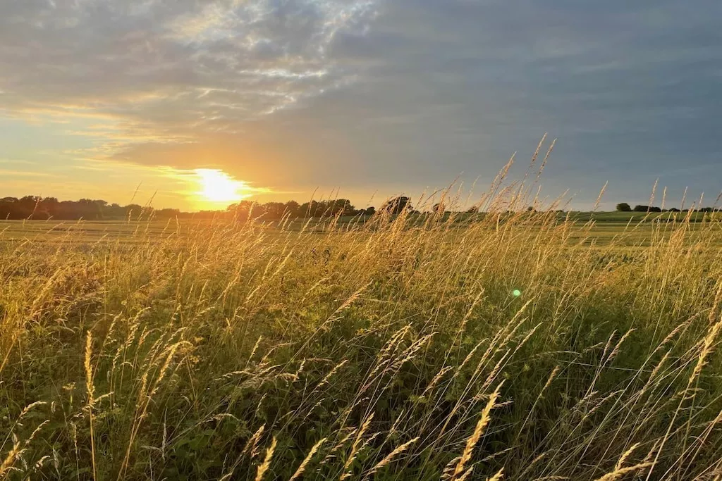 516982-Nicht zugeordnet