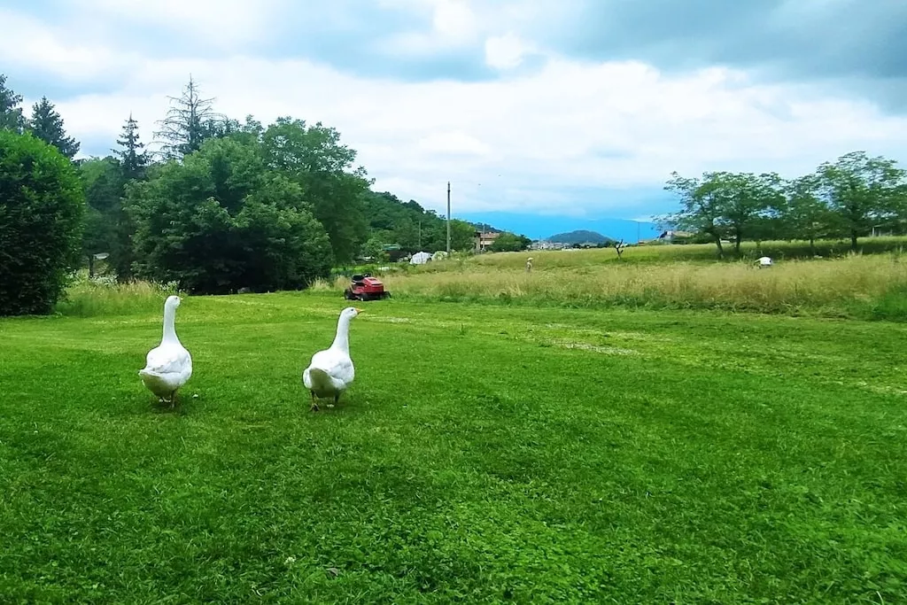 544924-Nicht zugeordnet