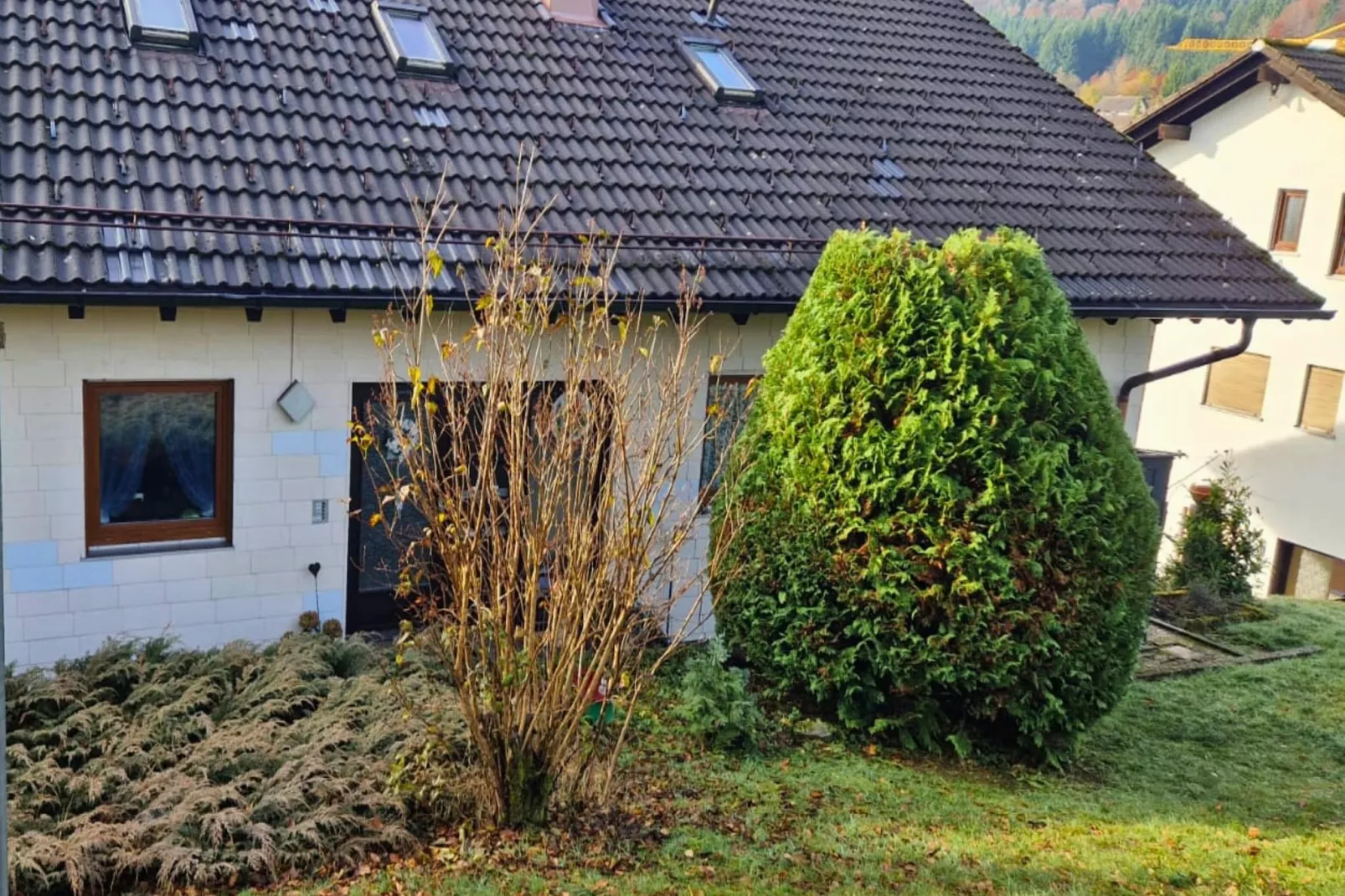 Ferienwohnung Herrischried an der Skipiste-Exterior in summer