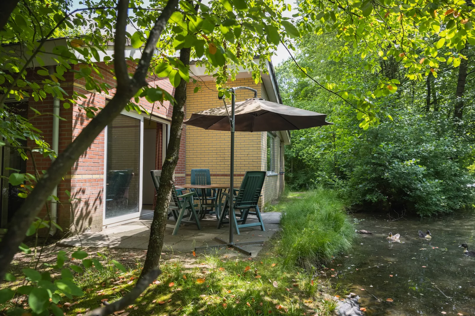 Vakantiepark de Berkenhorst 12 - Terrasse / balcon