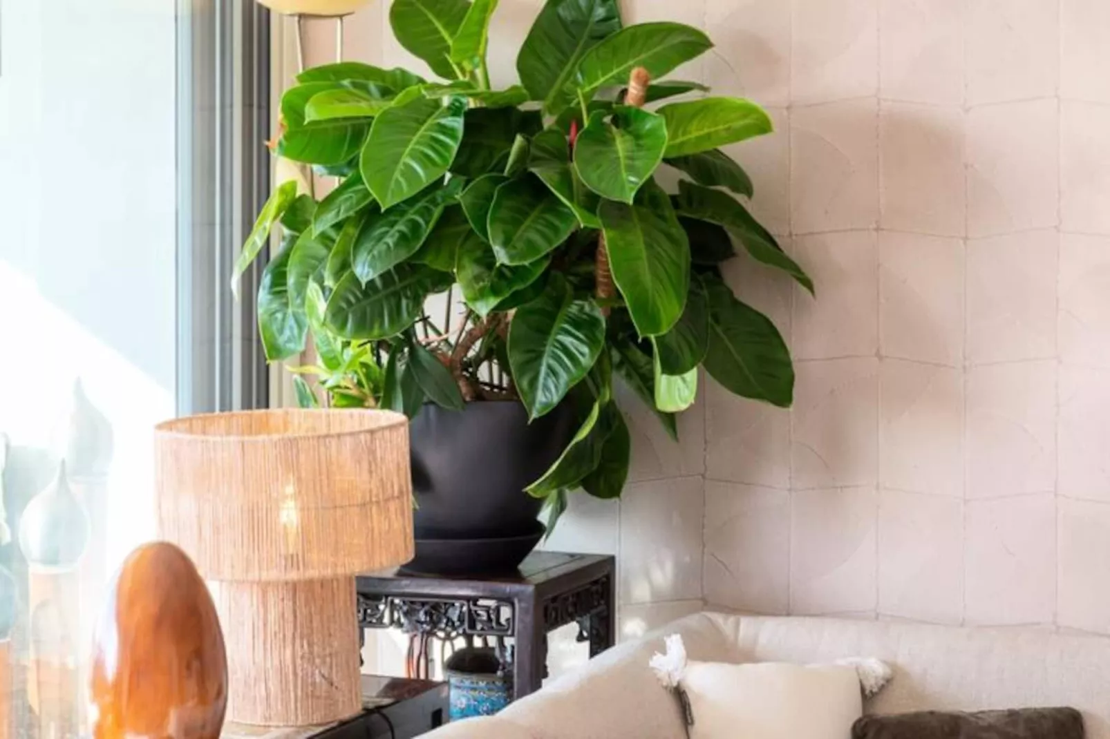 Résidence 3p De Dtanding Cannes Vue Mer-Non tagué