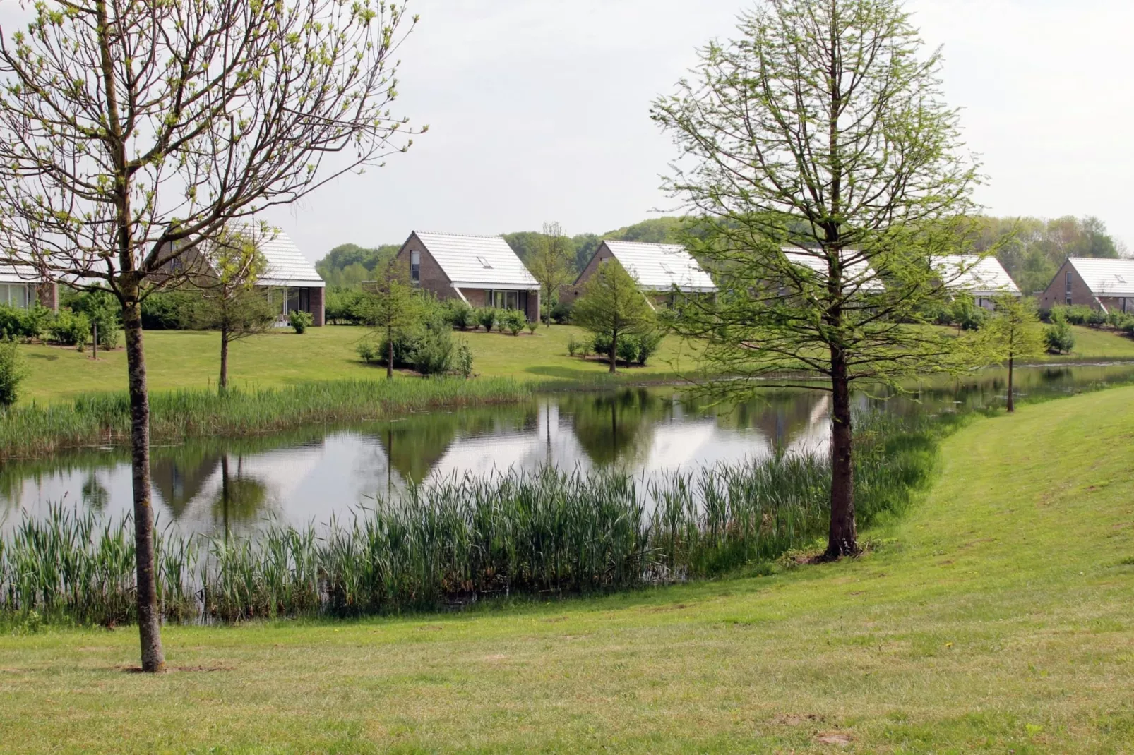 Boswoning-Zones été à 1 km