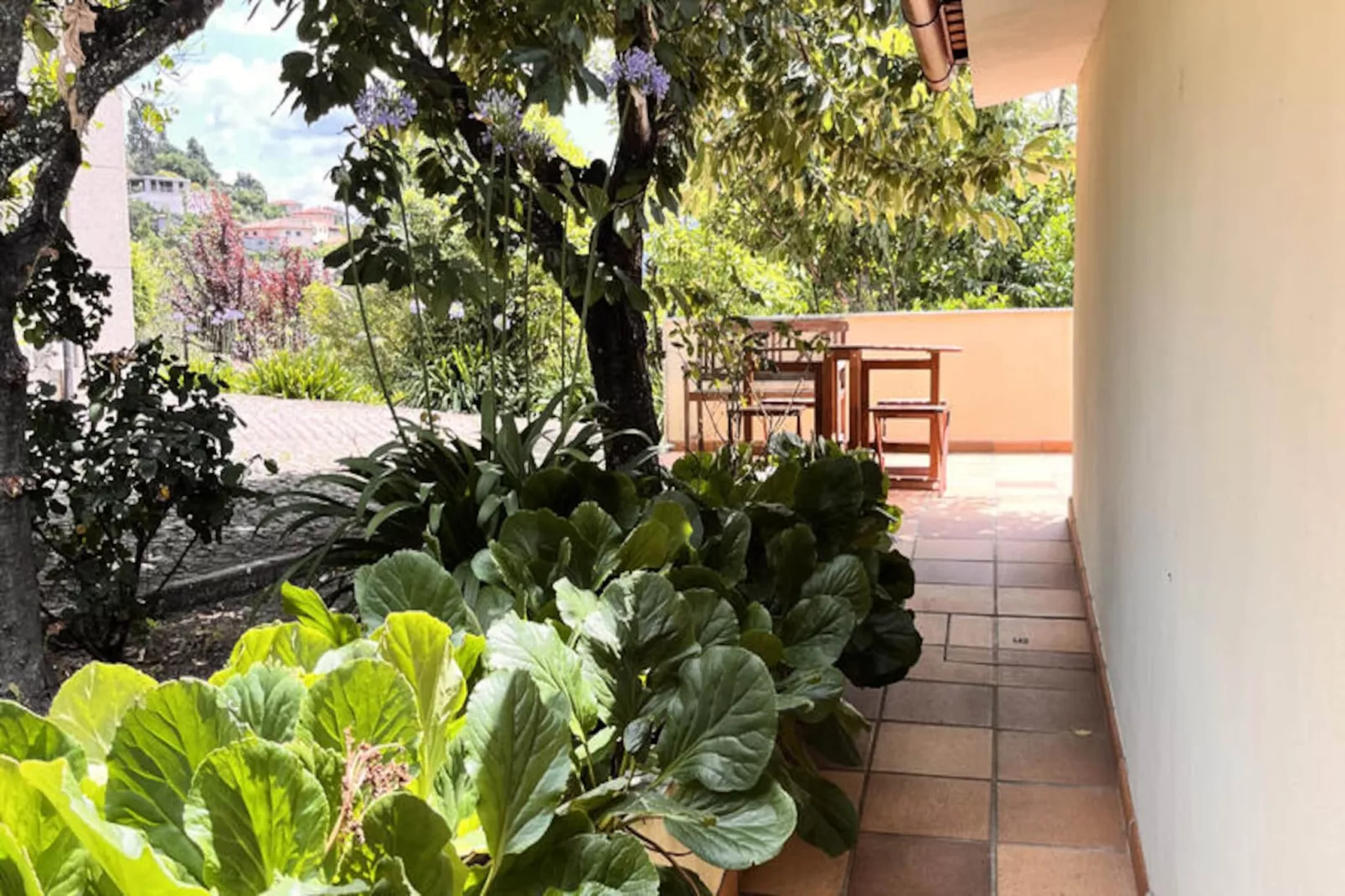 Maison à Cabeceiras de Basto-Untagged