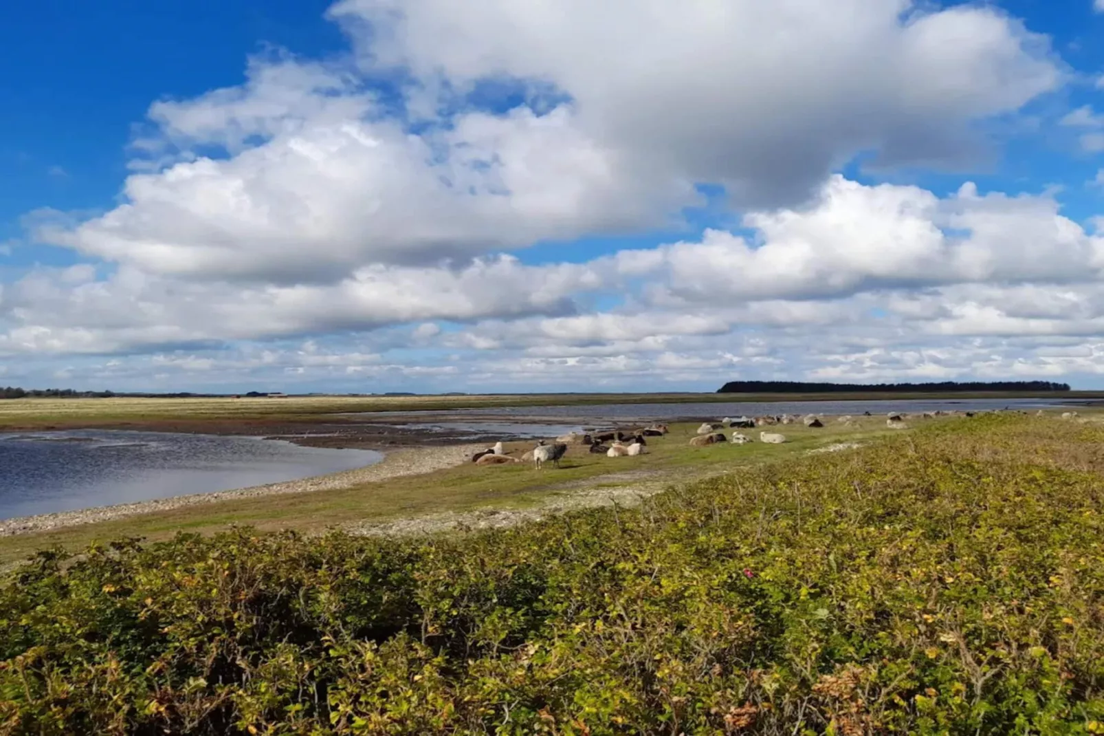 6 person holiday home in Lemvig-Water view