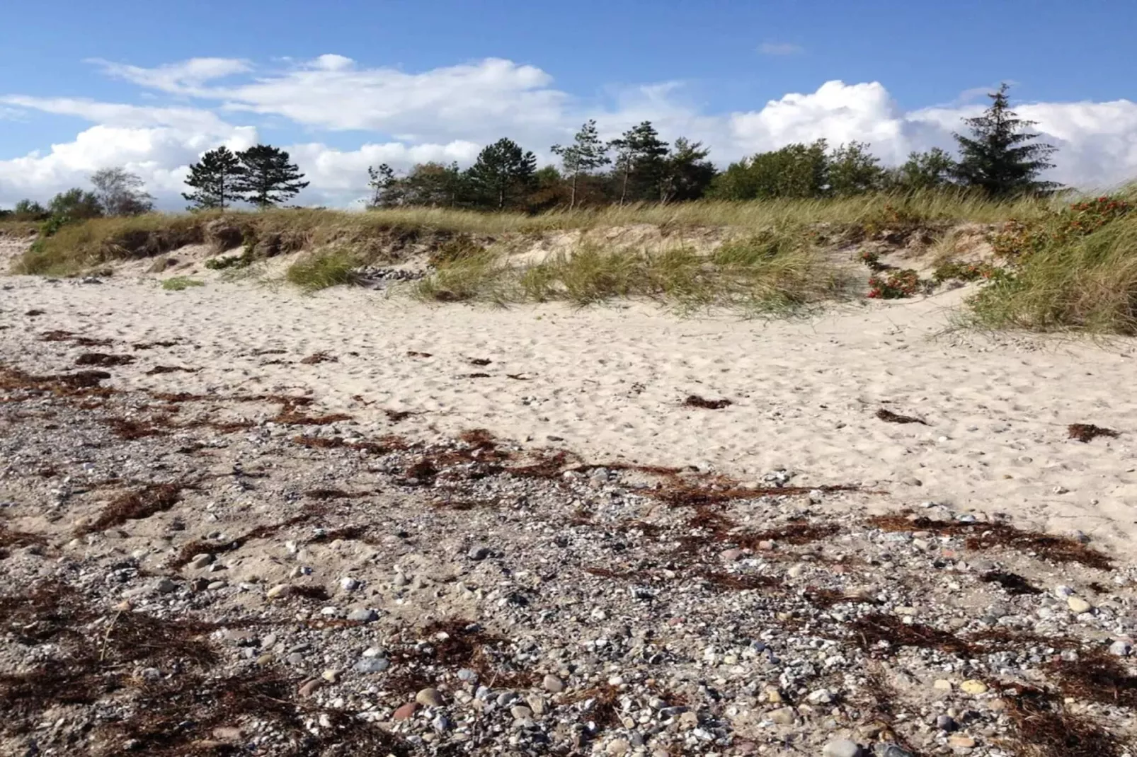 Maison de vacances pour 8 a Sydals-Non tagué